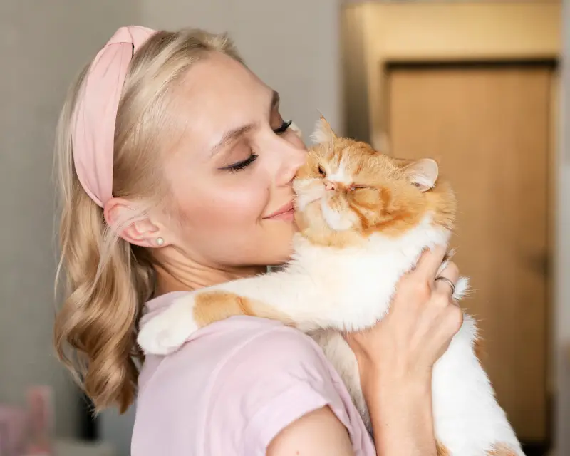 Why cats purr: what it really means